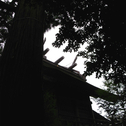 Mistic Travel Guide to Izumo (3)