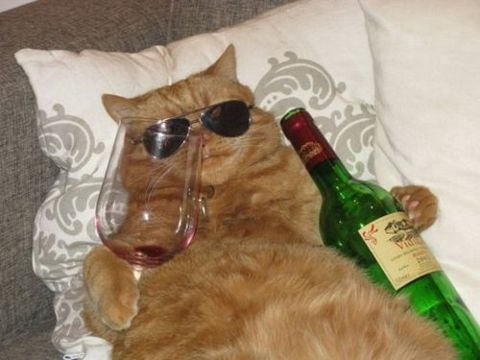 tumblr_lteek0Tw2M1qb3axfo1_500.jpg