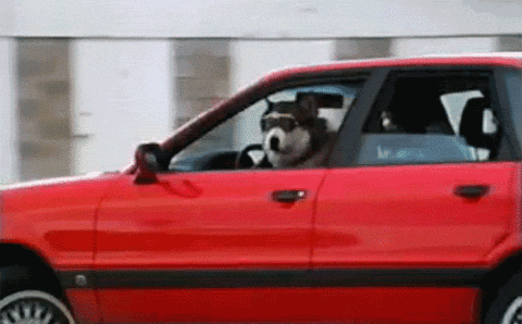 tumblr_m3vju8zI2X1qzigjno1_500.gif