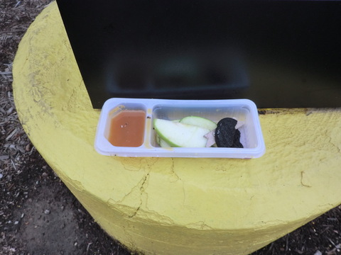 20130610_095503.jpg