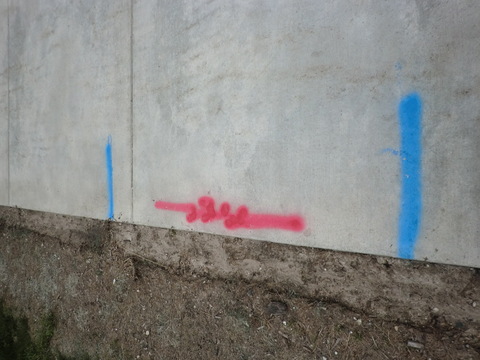 20130610_100037.jpg
