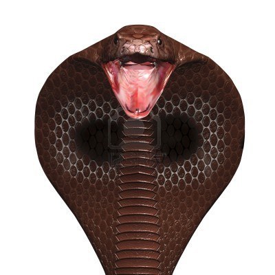 6517674-snake-cobra-in-3d-with-stars-in-background.jpg