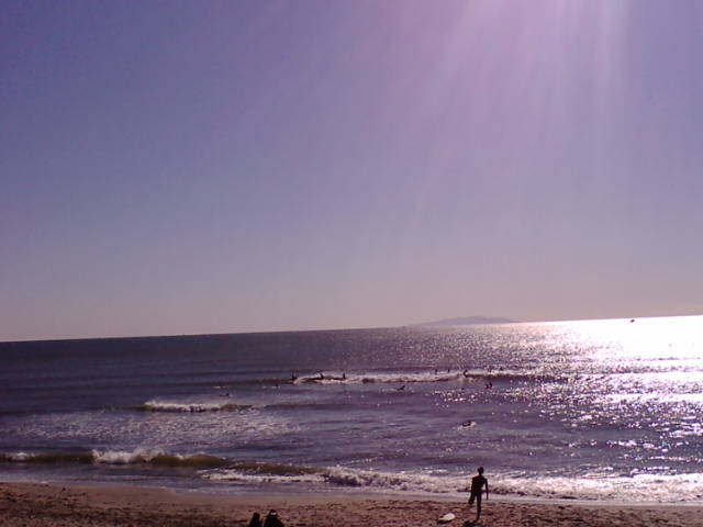 20090201131004.jpg