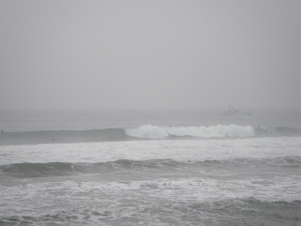 IMGP0711.JPG