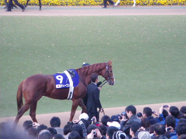IMGP1004.JPG
