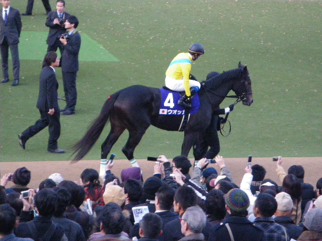 IMGP1008.JPG