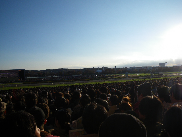 IMGP1009.JPG