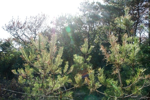 DSC03342.JPG
