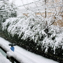 極寒大雪