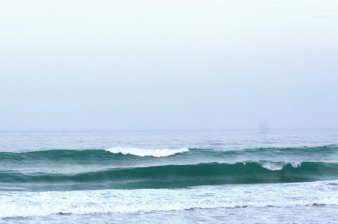 DSC09516.JPG