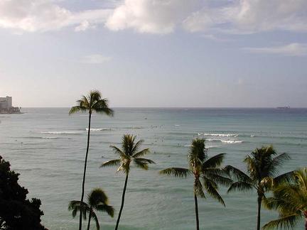 20031110hawai_waikiki.jpg