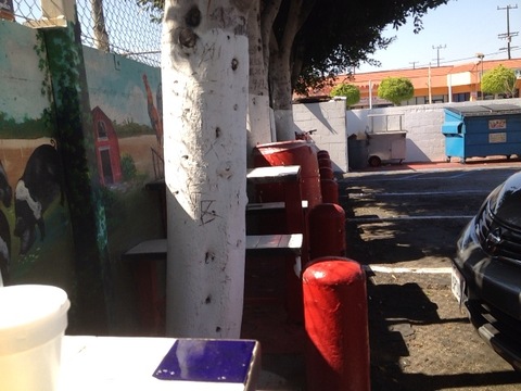 mex la3.JPG