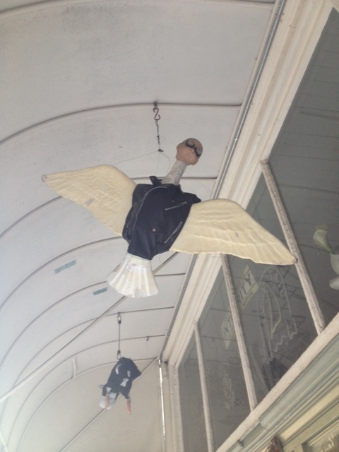 free bird sf.JPG