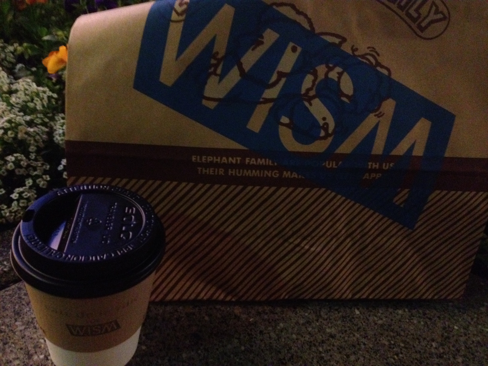 wism.JPG