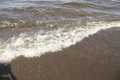 _MG_9770.JPG