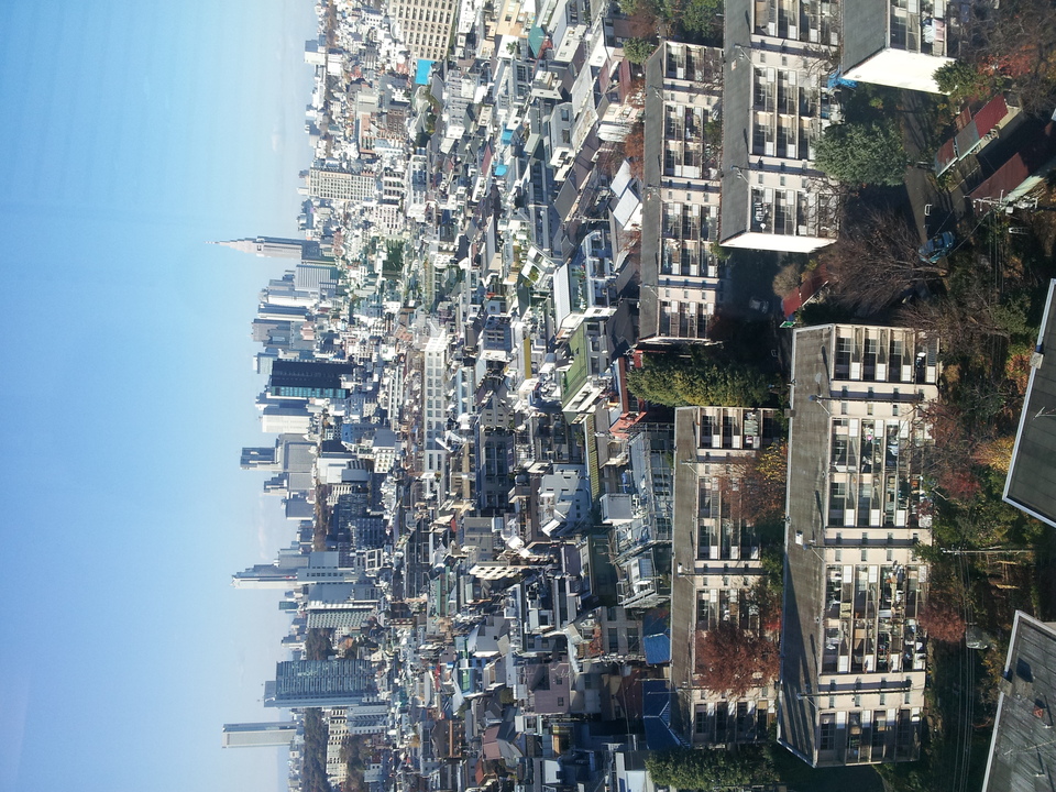 20121212_133808.jpg