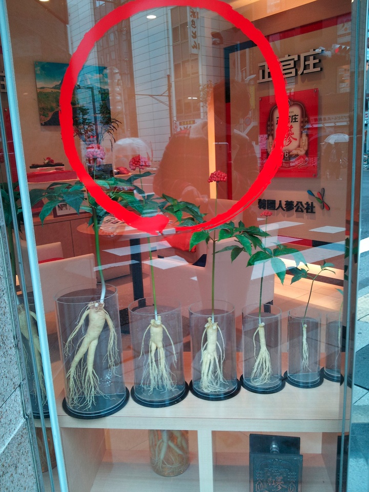 20131024_135007.jpg