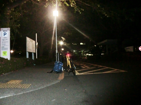 CIMG0865.jpg
