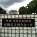 国際免許