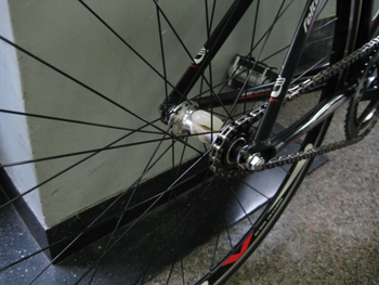 rim2.jpg
