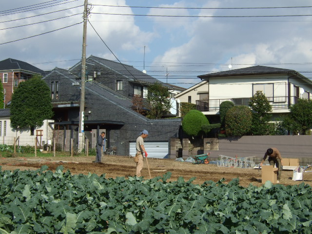 DSCF9272.JPG