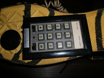 CIMG4874.JPG