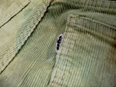 CIMG4883.JPG