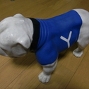 昨日に引き続き本日もハワイネタ。。。