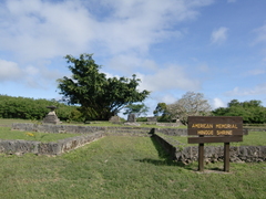 CIMG8058.JPG