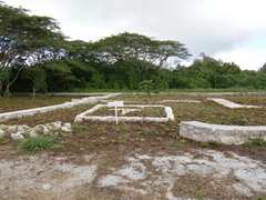CIMG8117.JPG