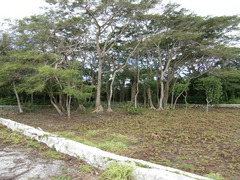 CIMG8119.JPG