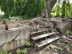 CIMG8122.JPG