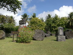 CIMG8131.JPG