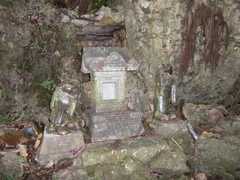 CIMG8141.JPG