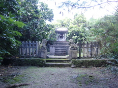 CIMG8144.JPG