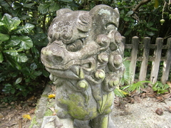 CIMG8147.JPG