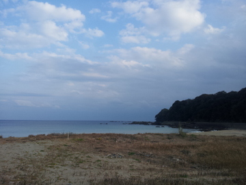 2012-01-01 15.27.45.jpg