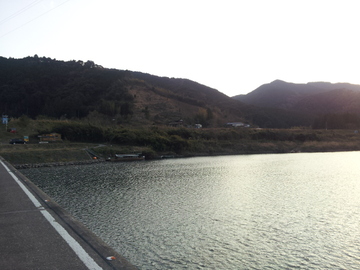 2012-01-02 16.42.53.jpg