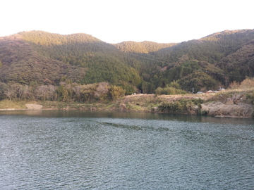 2012-01-02 16.42.57.jpg