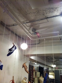 IMG_1570.JPGのサムネイル画像