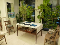 P1020836.JPG