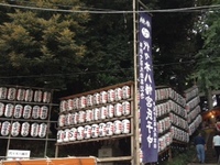 M1.JPG