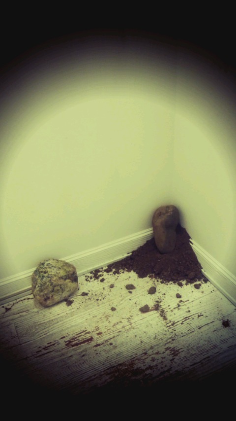 130202_1854~01.jpg