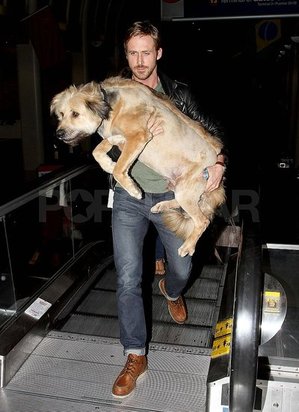 ryanPictures-Ryan-Gosling-Dog.jpg