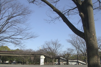CIMG7666.jpg