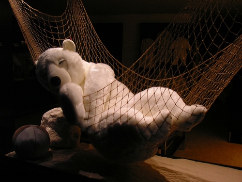 PICT0045.jpg