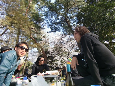 hanami.jpg