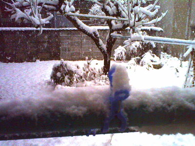 朝帰ると大雪