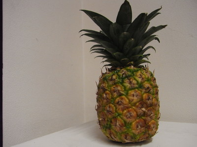 RIMG0022.JPG