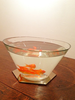 Image-36.jpg